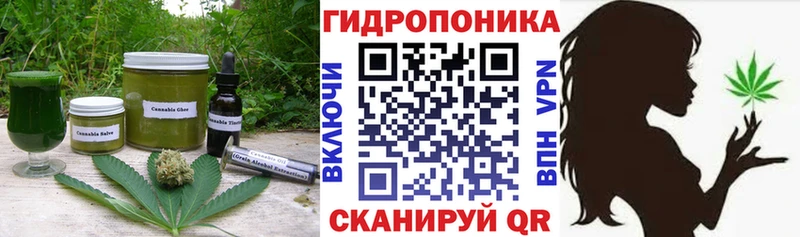 как найти наркотики  Отрадный  Печенье с ТГК марихуана 