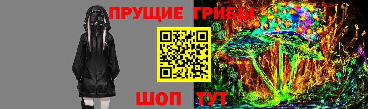 Галлюциногенные грибы прущие грибы  Вход с VPN  Отрадный  Галлюциногенные грибы MAGIC MUSHROOMS 